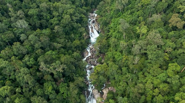 Logements sur mesure en ville : découvrez l'offre durable d'aventim
